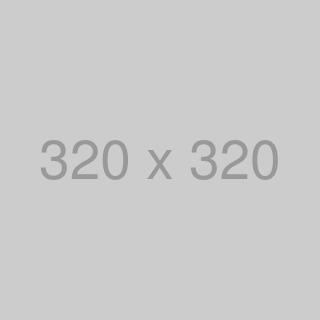320x320